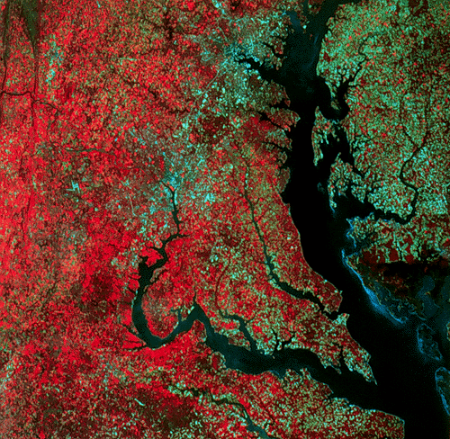 GIS MD map